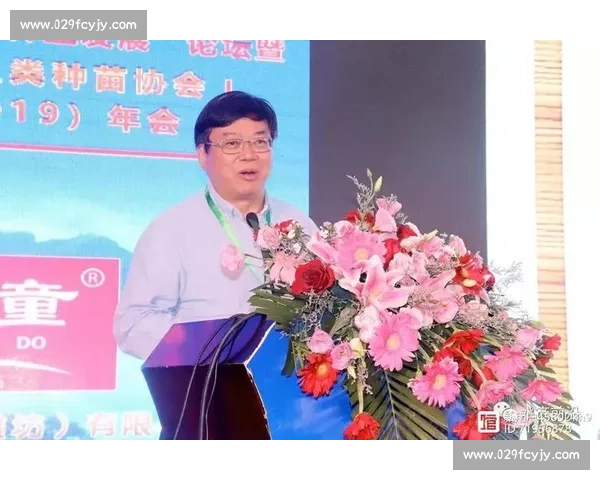 体育比赛制度创新与公平竞争机制优化研究与实践探索